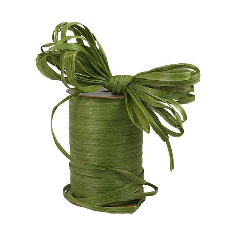 Wraphia Ribbon
