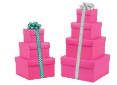 Fuchsia Mix and Match Gift Box Collection