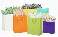 Stylish Euro Tote Bags in Bright & Bold Colors