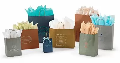 Metallic Gift Bags (Natural Kraft Interior)