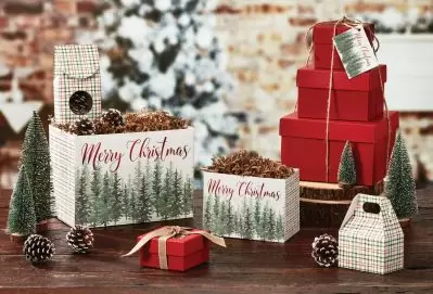 Evergreen Christmas Gift Box Collection