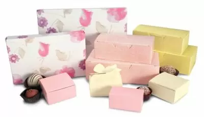 Tulip Pastel Spring Box Collection